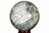 Polished Dendritic Agate Sphere - Madagascar #218898-1